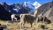ボリビアのコルディジェラ・リアルで山の隠れ家を発見