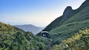 屋久島：必見の山の宝
