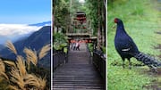 台湾の玉山を発見：静かな山の逃避行