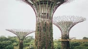 シンガポール植物園: 自然愛好家のための緑豊かな逃避所