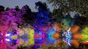 シンガポールの夜景: 魅惑的な庭園と光る公園