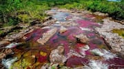コロンビアのセラニア・デ・ラ・マカレナへの旅：虹色の川を探る