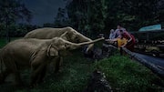 夜のサファリ冒険: 東南アジアの都市を探検しよう
