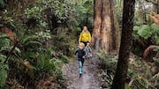 オーストラリアのダンデノン山脈を探訪しよう