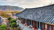 韓国の山寺リトリートを探る