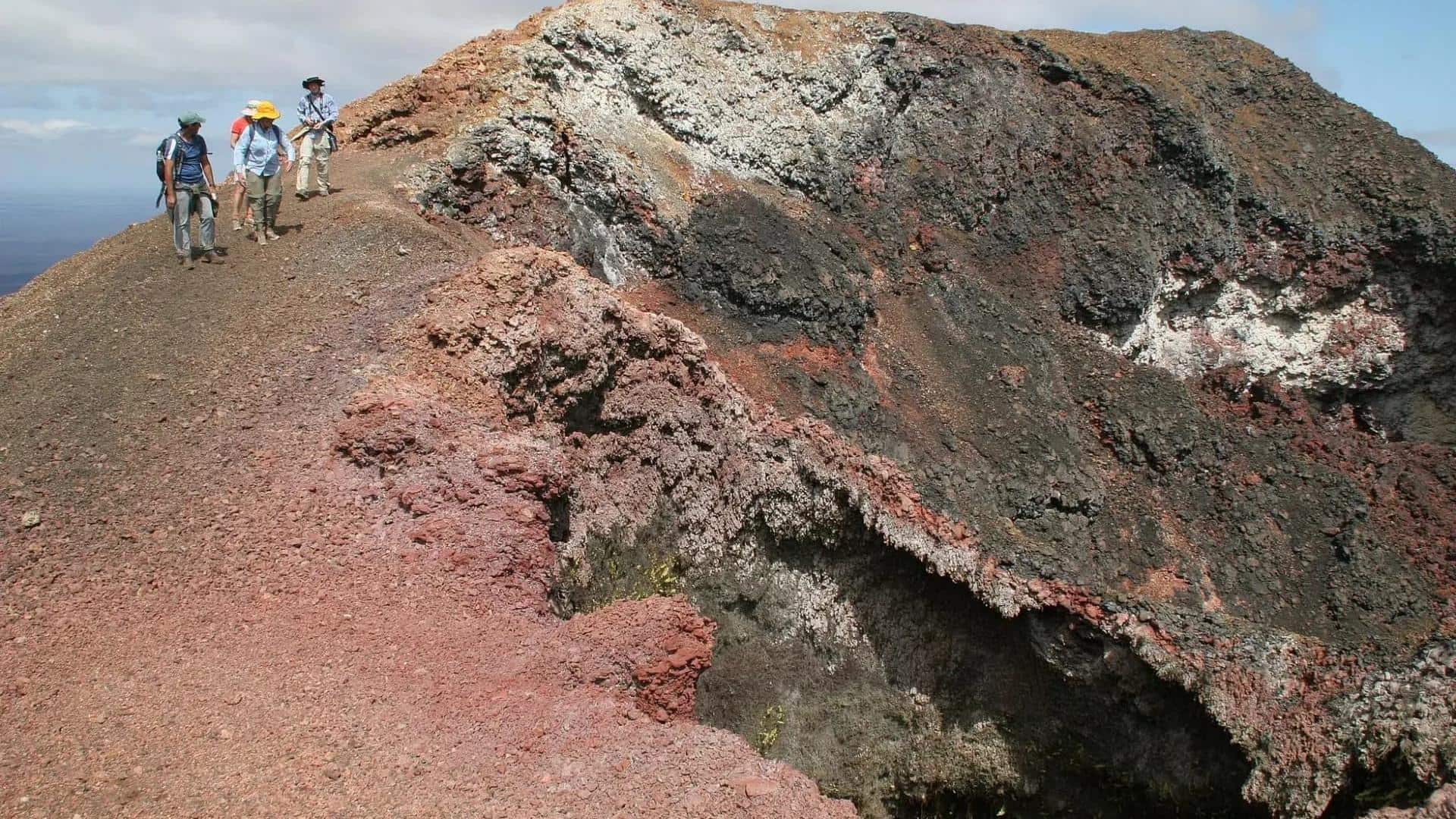 エクアドルのシエラネグラ山脈でのユニークな冒険
