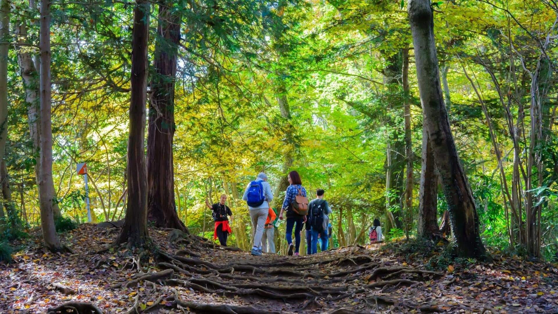 自然の静けさ：高尾山のハイキングの宝