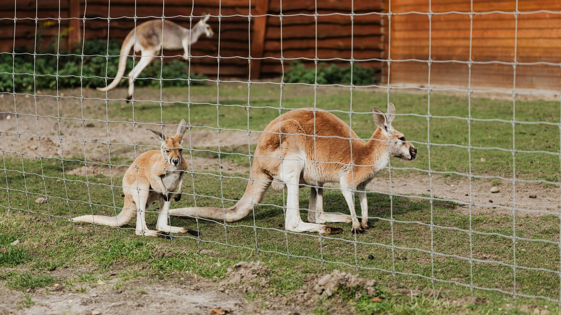 オロモウツ、チェコ共和国の魅力を発見