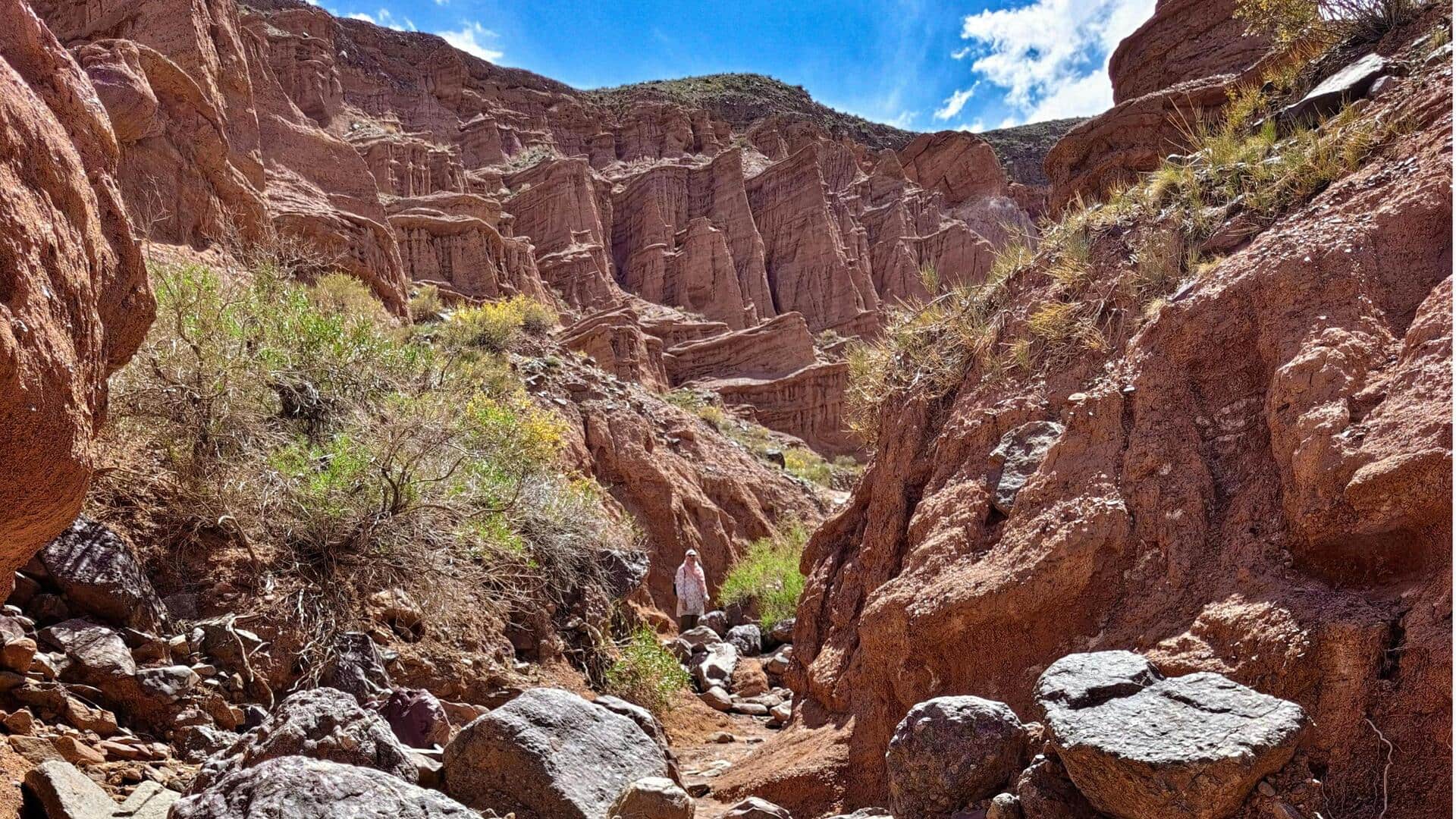 オーストラリアのマウント・リマーカブル国立公園で自然写真を撮るべき5つの場所
