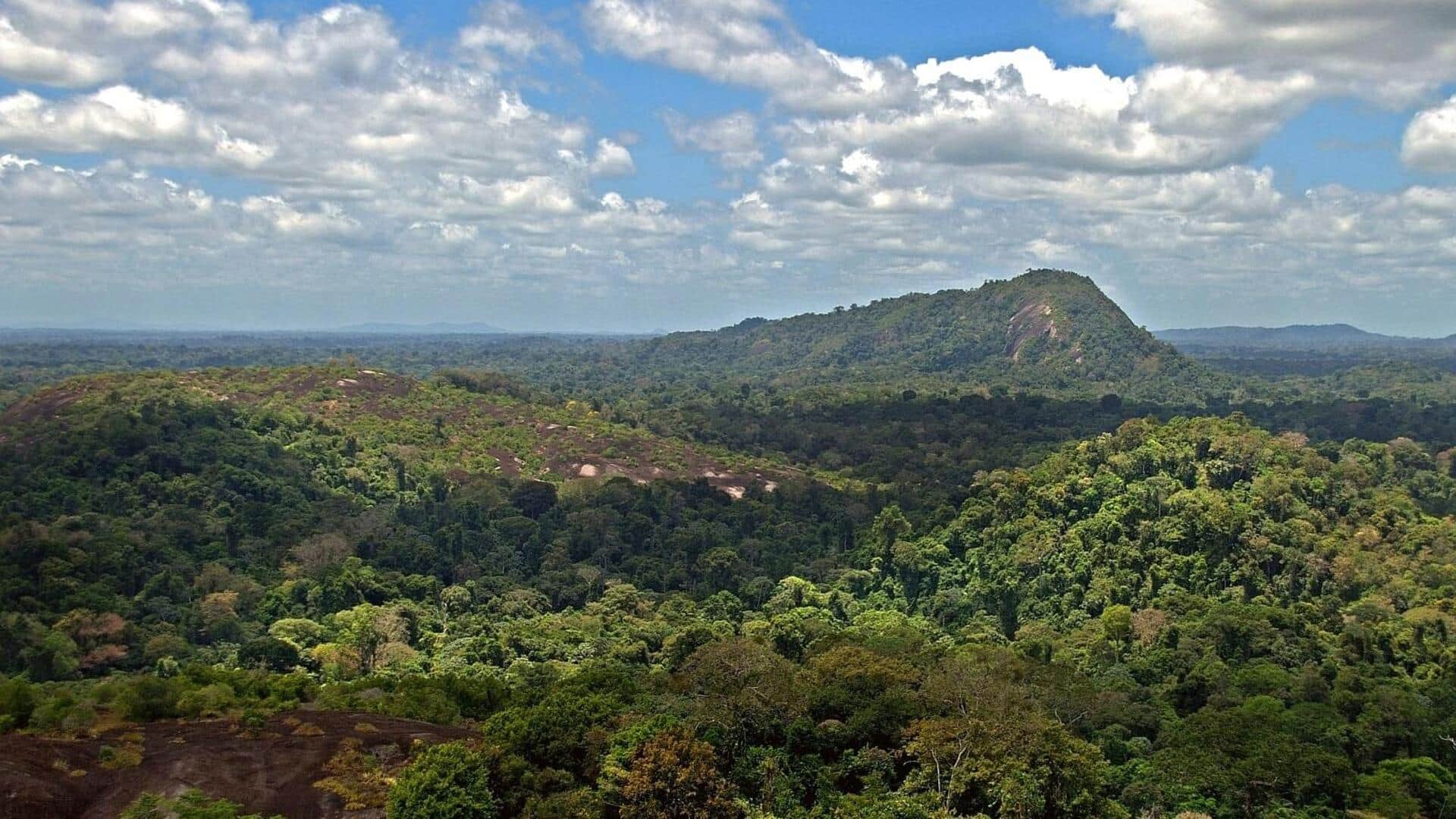 スリナムのシパリウィニ高地を探検しよう