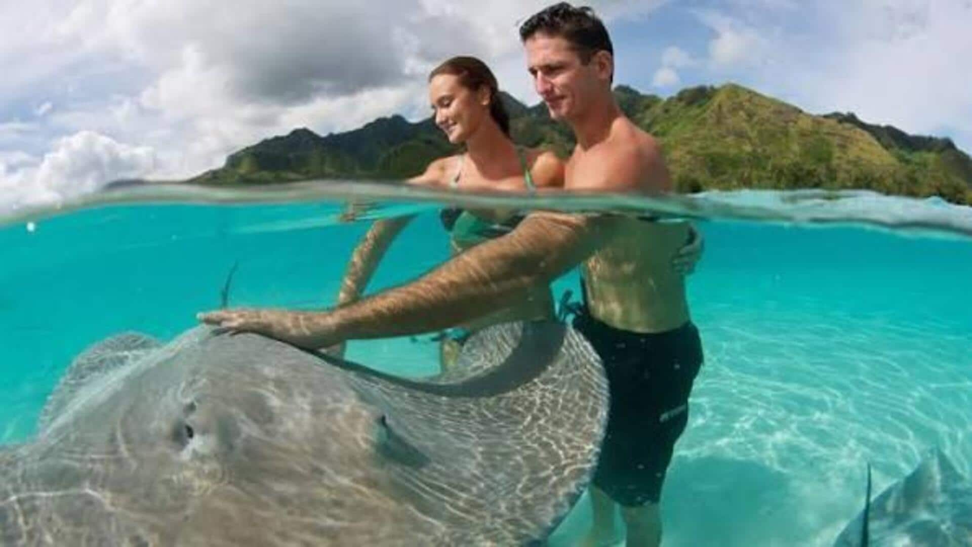 ボラボラのサメとエイの餌付け体験