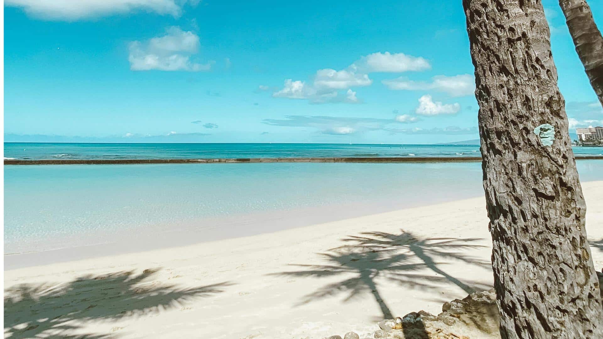 ホノルルで楽しむ自己ガイドのウォーキングツアー5選