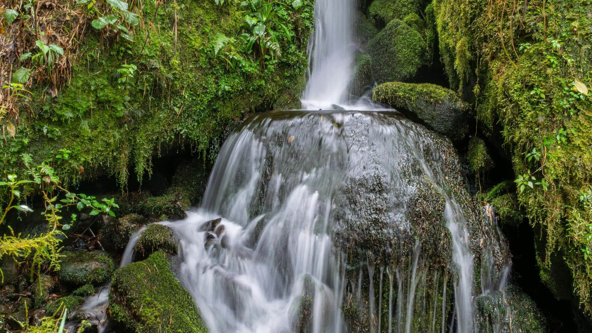 コスタリカの白い激流を体験しよう コスタリカの白い激流を体験しよう