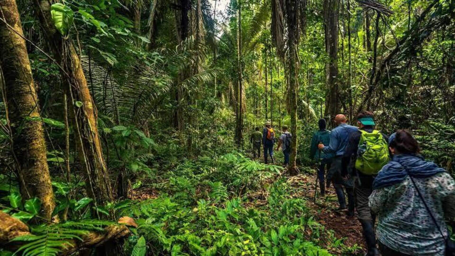ペルーのアマゾン熱帯雨林: 豊かな生物多様性と冒険を体験