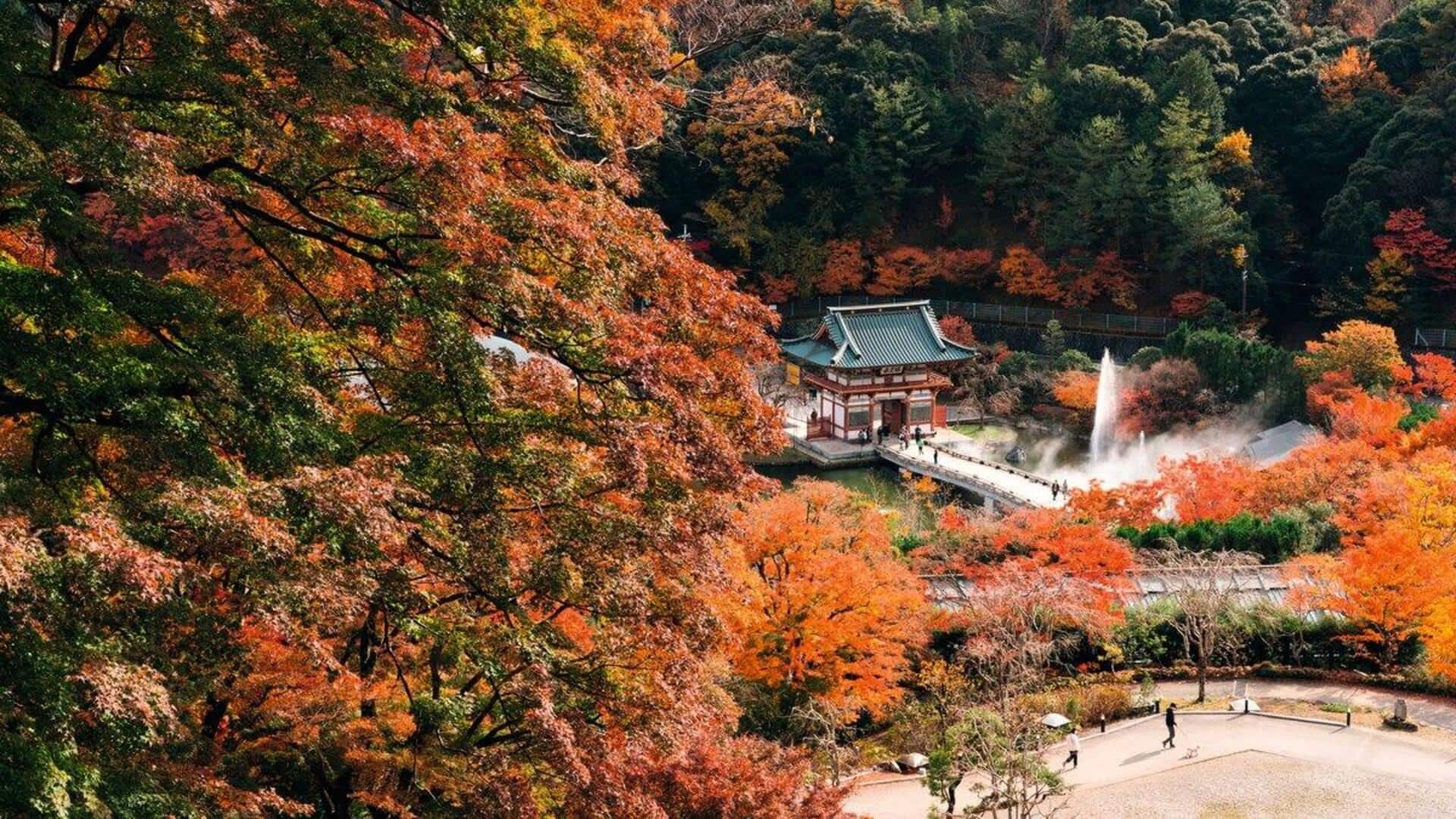 関西の山々で魅力的な五つの逃避行