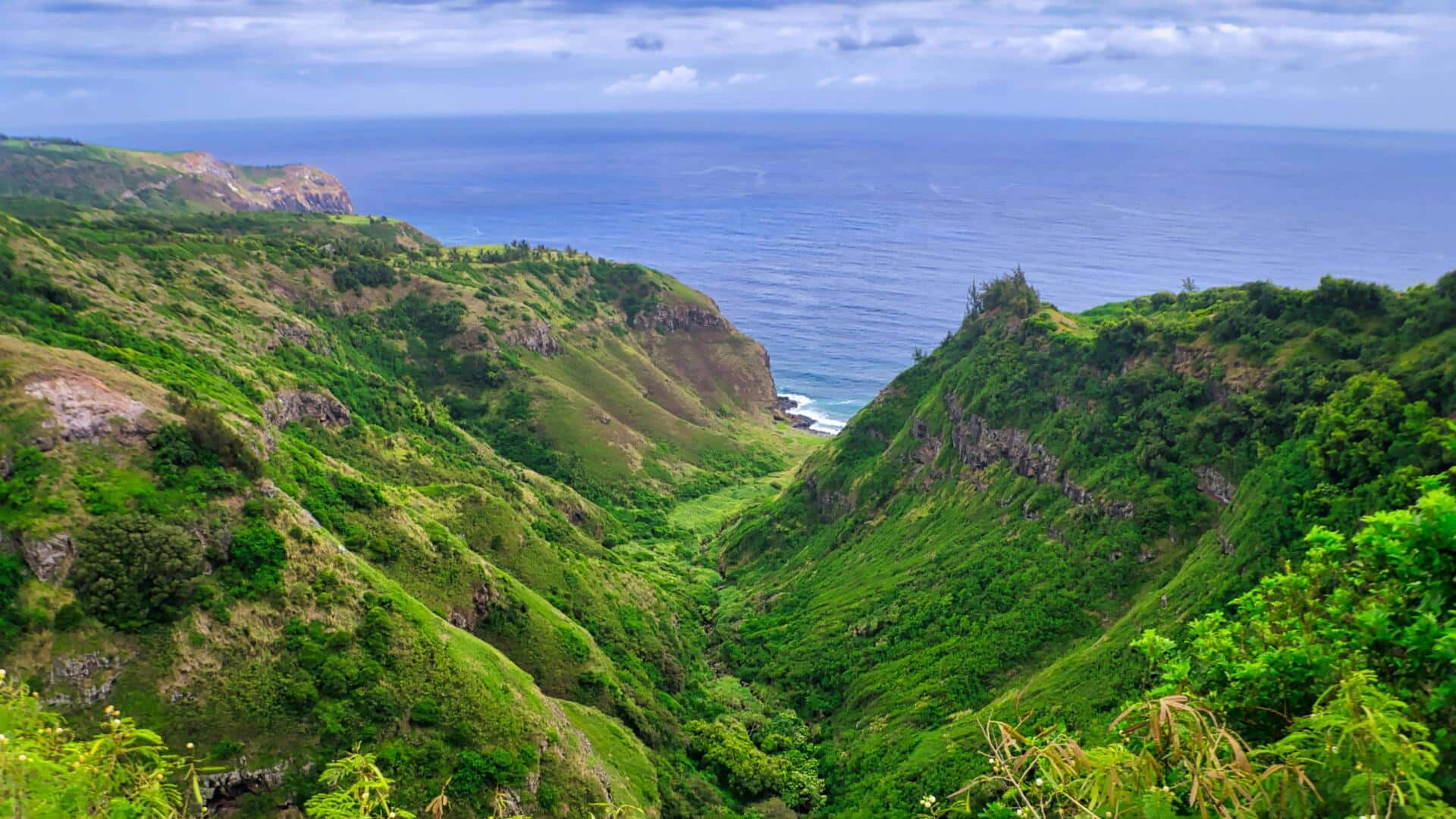 ハワイの太平洋の断崖を探る：絶景の逃避行