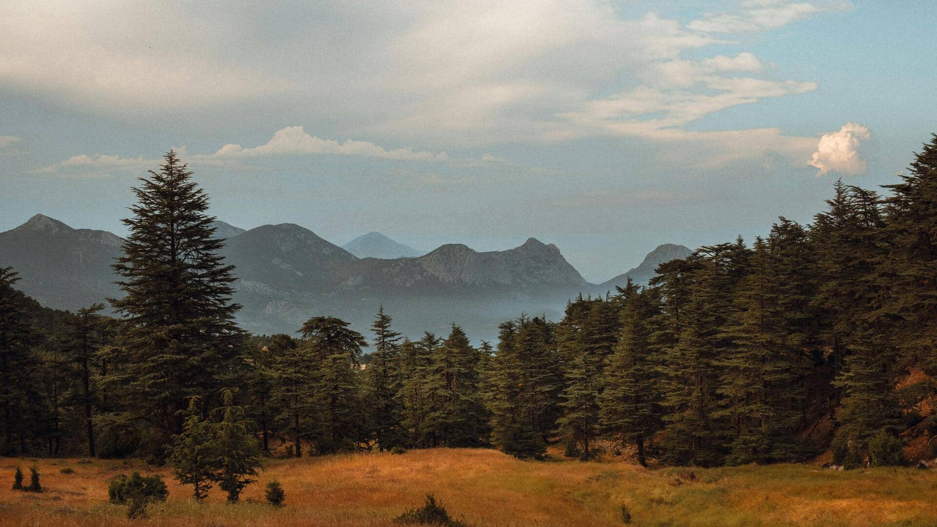 チェコ共和国のシューマヴァ山地で静かな山岳リトリートを発見