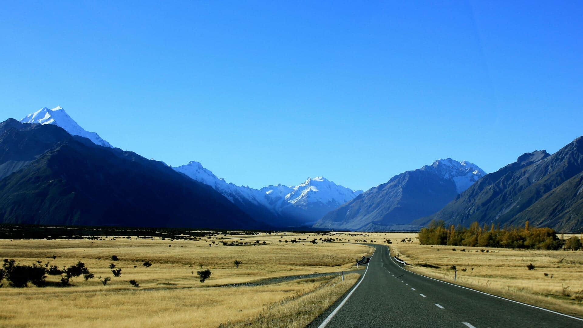 ニュージーランドのフィヨルドランド国立公園でのユニークな野生動物との出会い