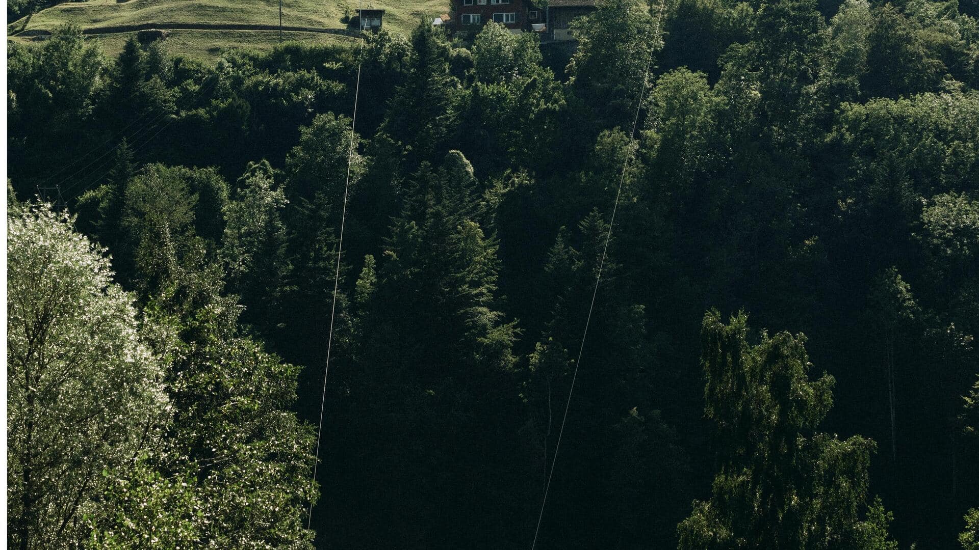 チューリッヒで体験するべき音響アートインスタレーション5選