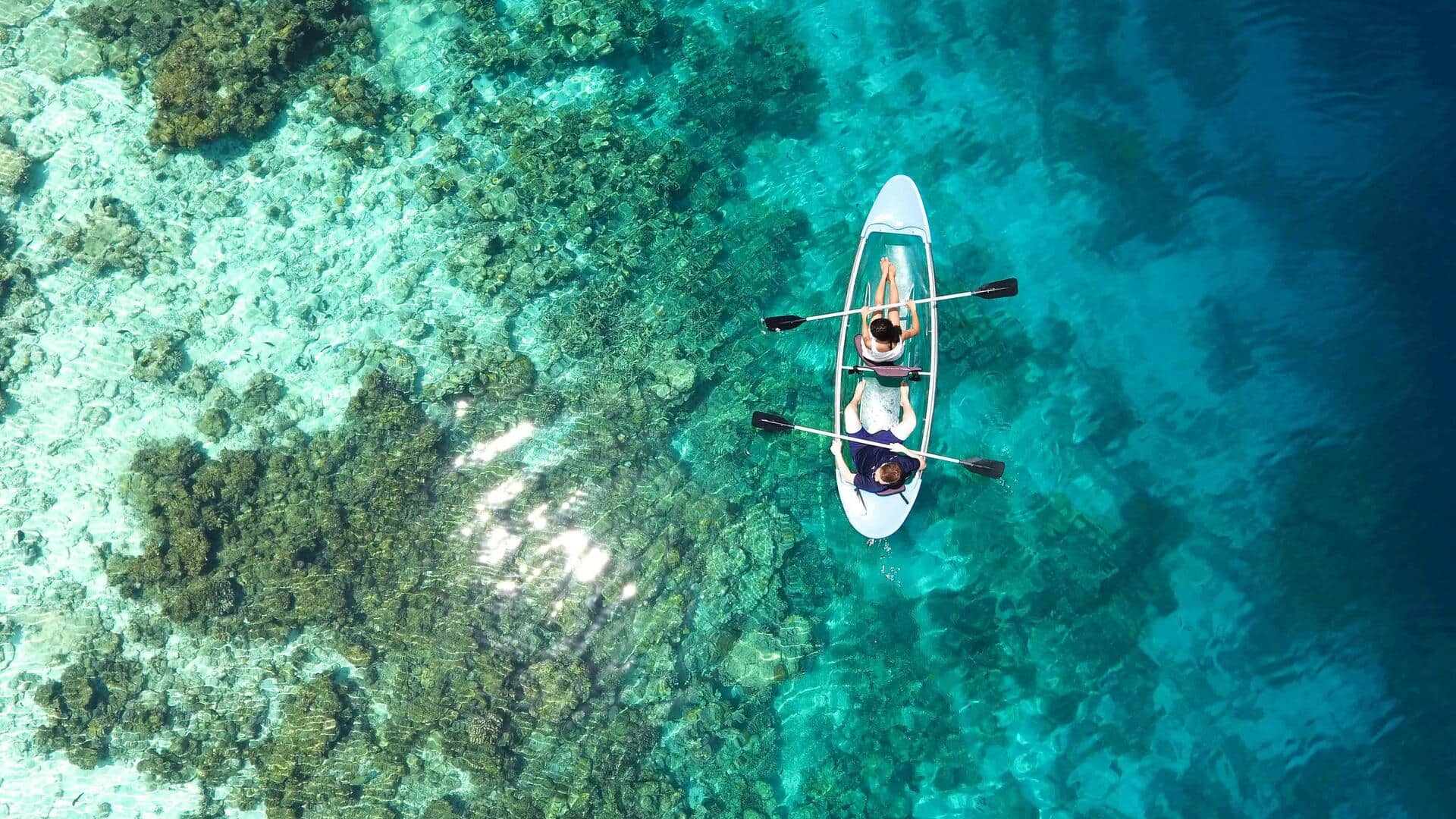 グレートバリアリーフのユニークな海洋生物を探る グレートバリアリーフのユニークな海洋生物を探る