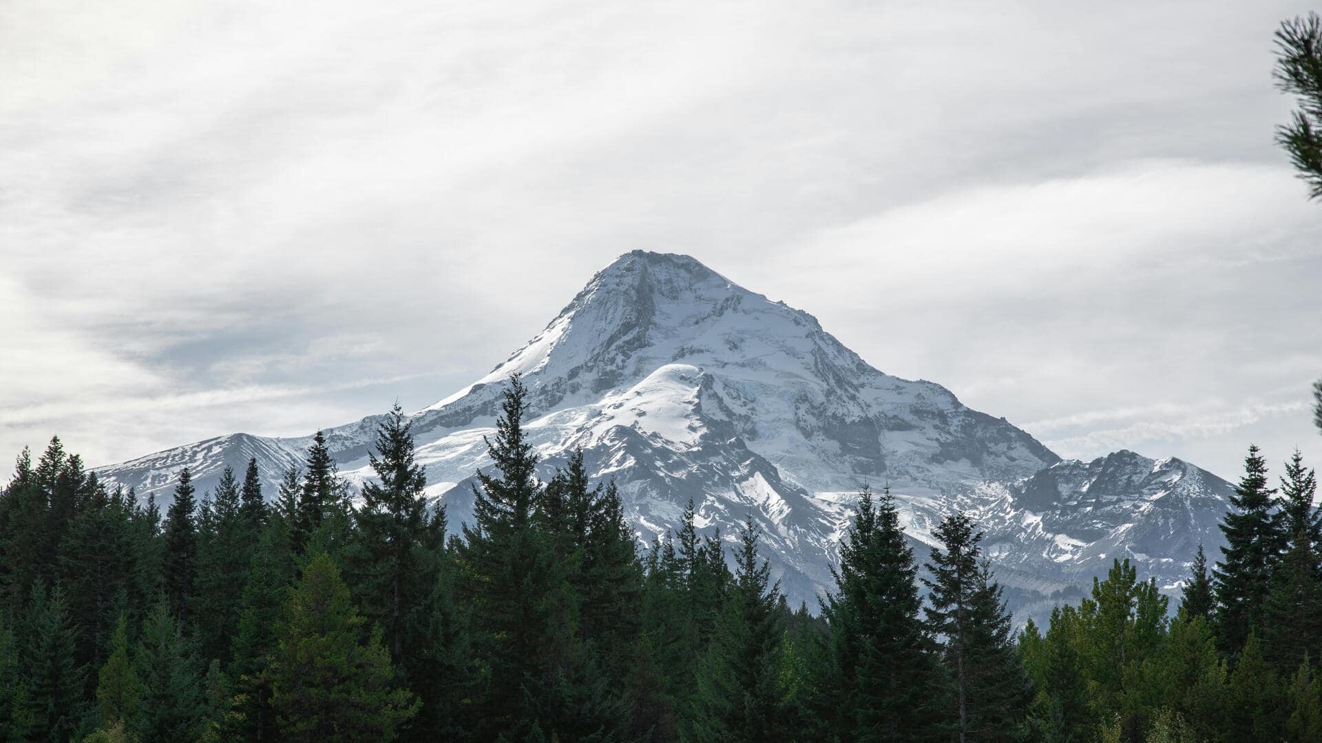 モンタナの山岳地帯で静かな隠れ家を発見