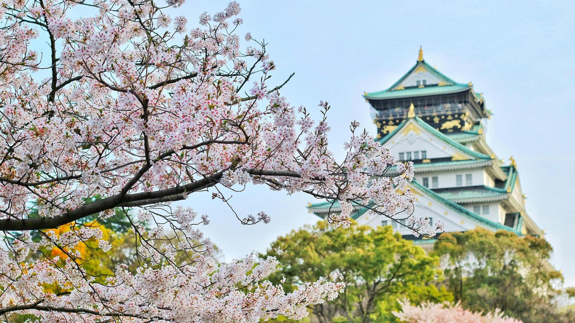 桜の花見ファッション：成熟した女性向け