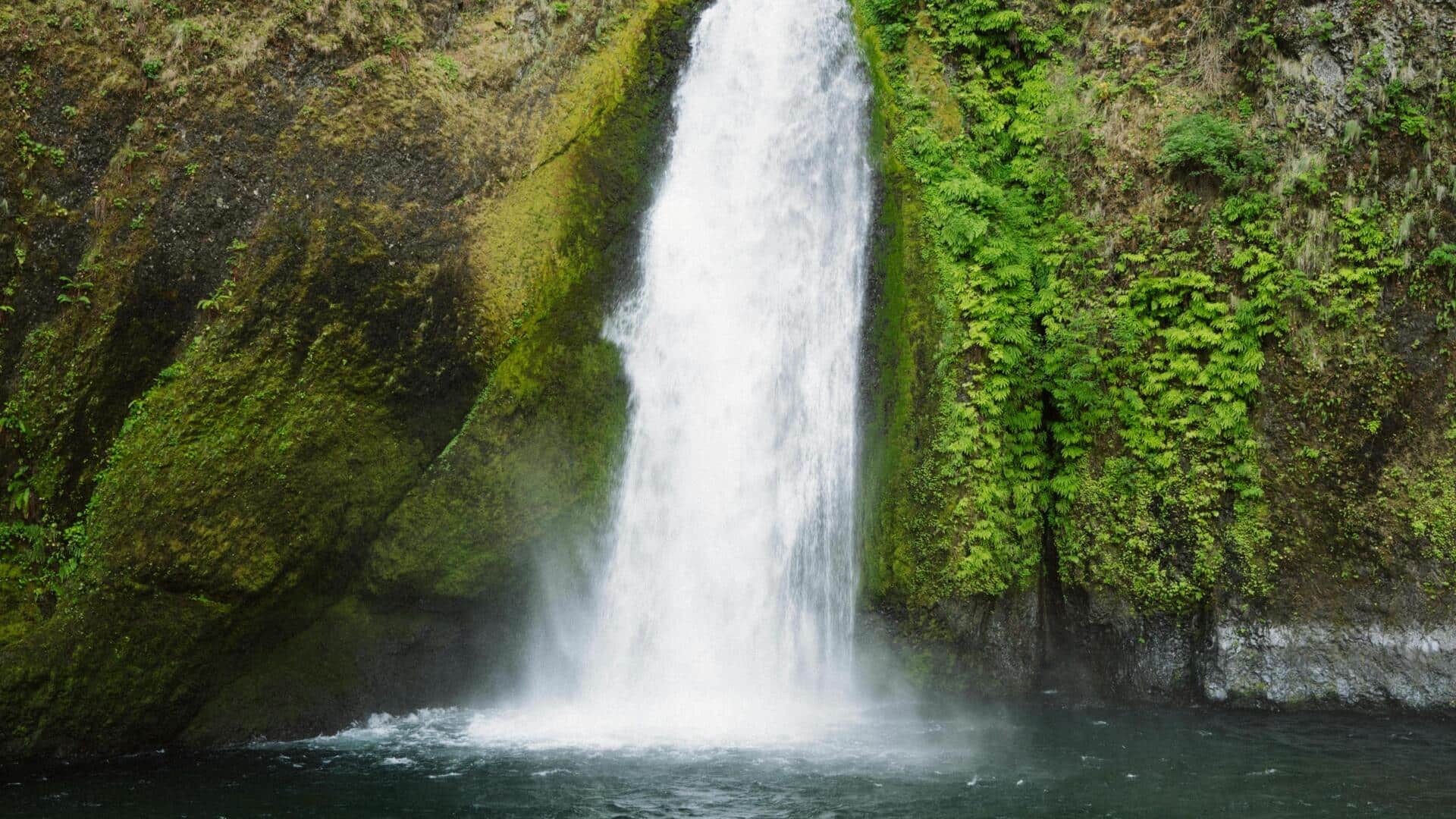 台湾の中央山脈で自然の静けさを体験 台湾の中央山脈で自然の静けさを体験