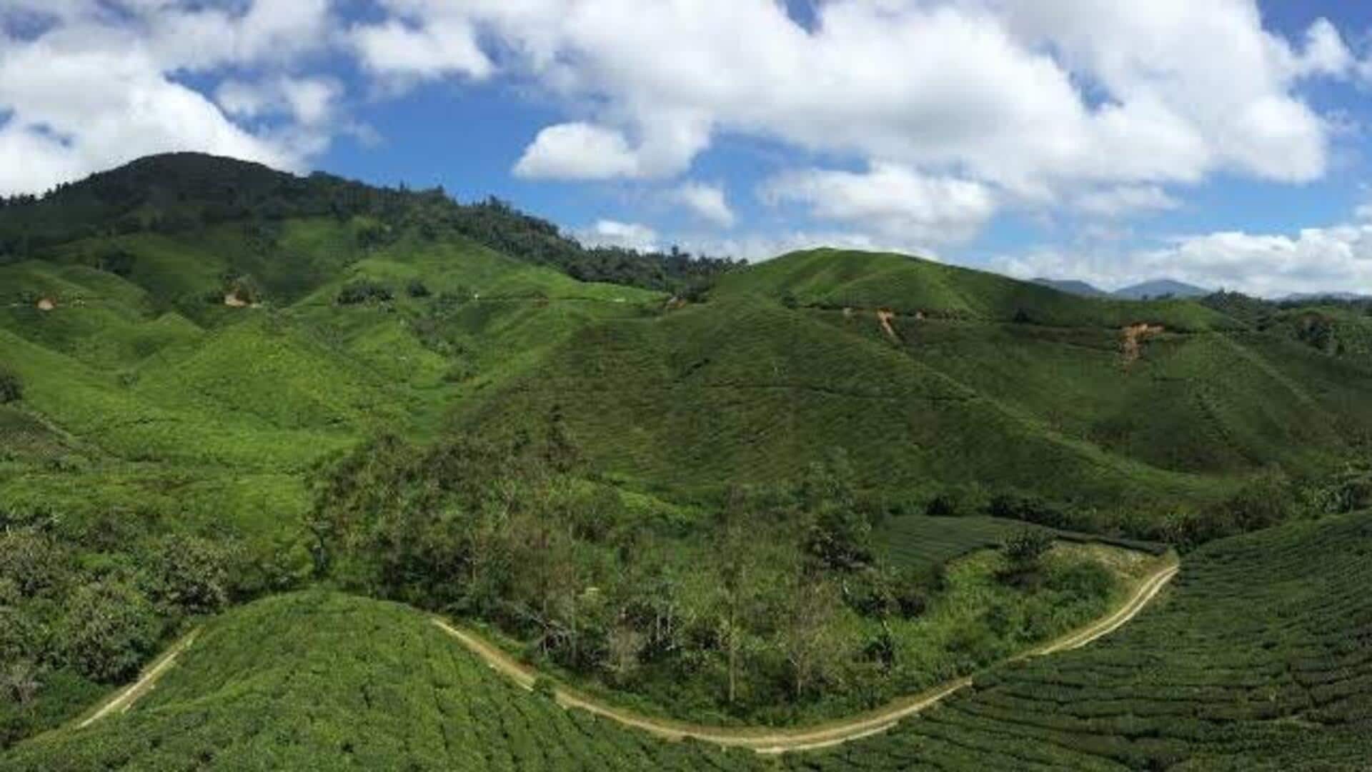 キャメロンハイランドの魔法の山道を体験しよう