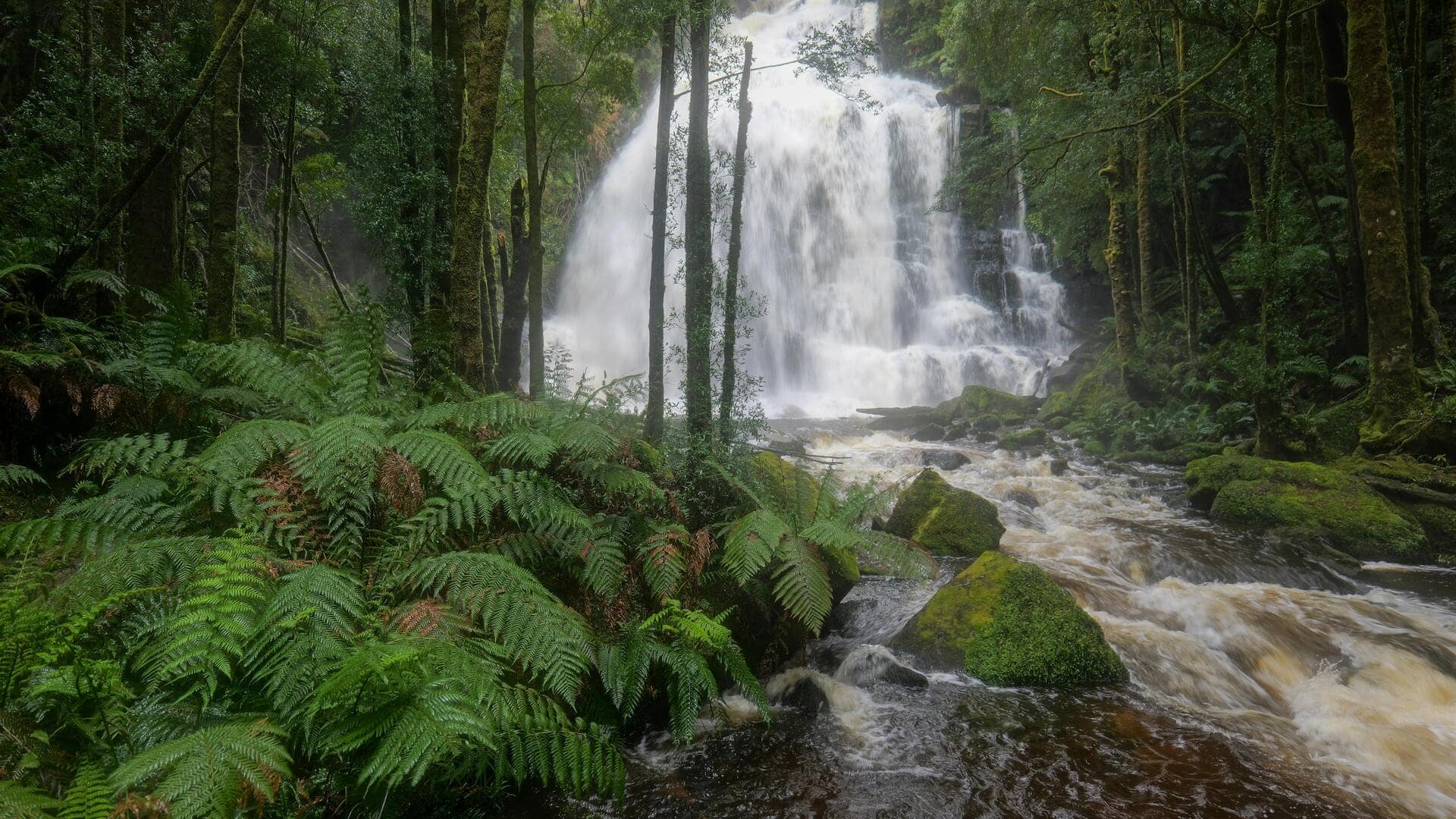 オーストラリアの美しい山岳リトリートを探る