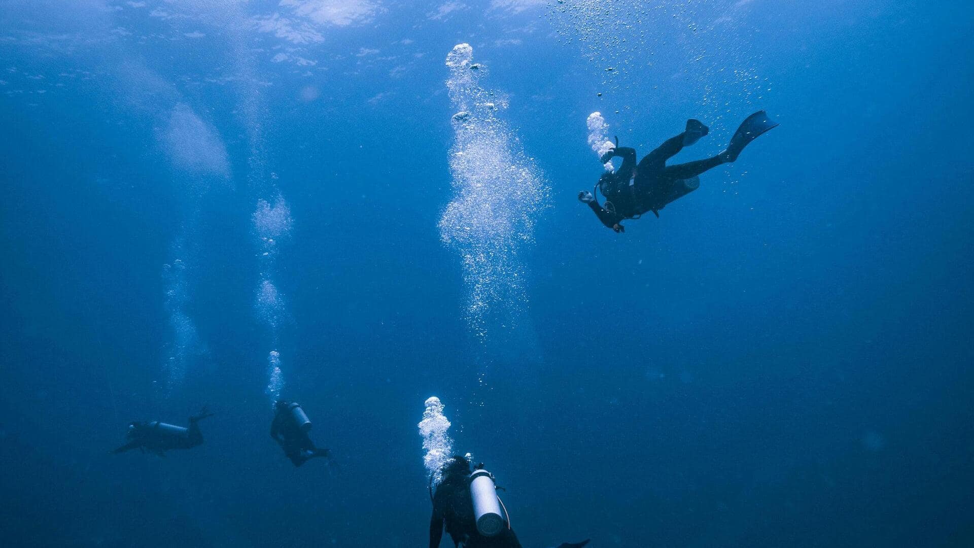 世界の見逃せない水中博物館 世界の見逃せない水中博物館