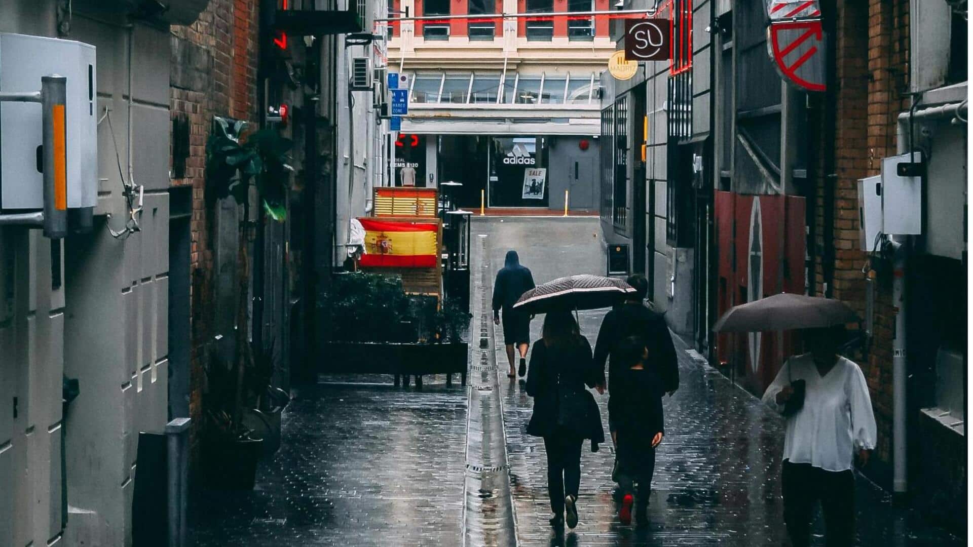 オークランドのアート地区とクリエイティブスタジオを探る