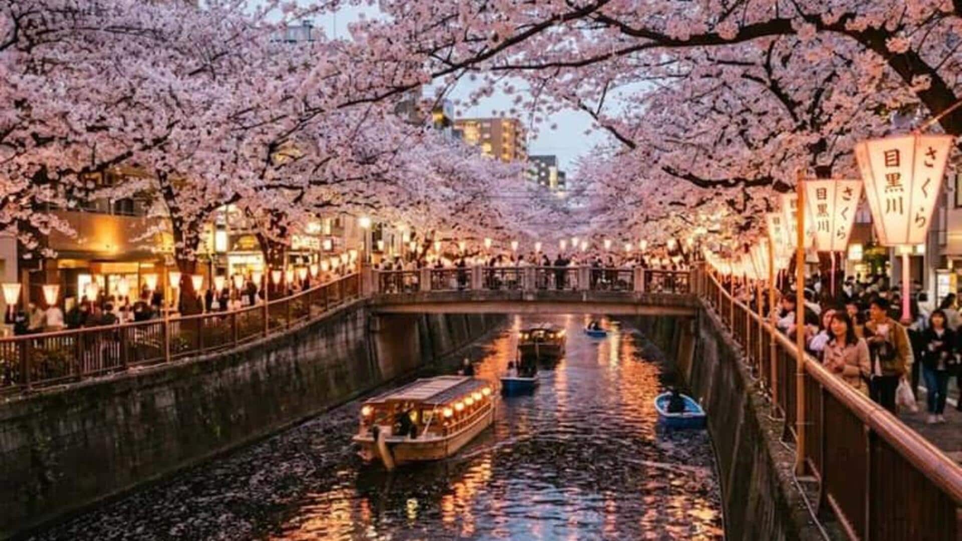 東京の夜を彩る川クルーズと活気ある地区