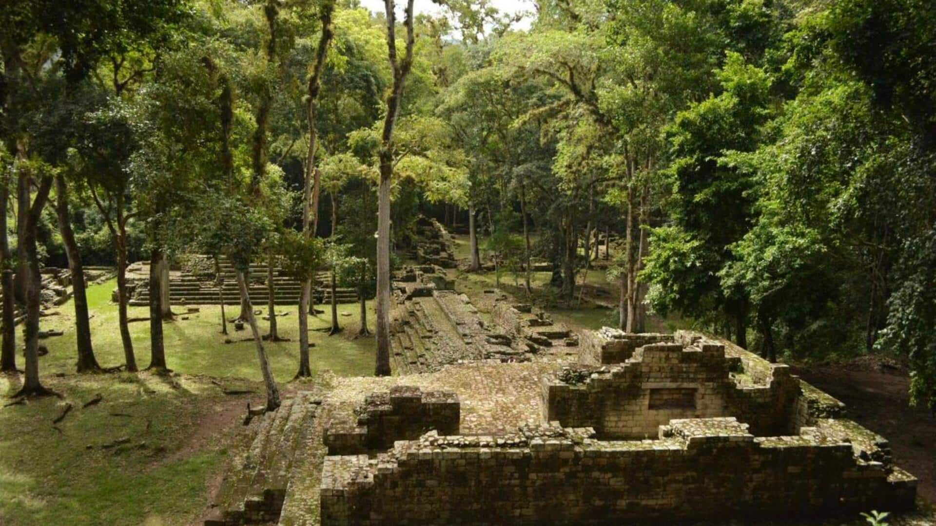 ホンジュラスのロアタン島とマヤ遺跡を探る