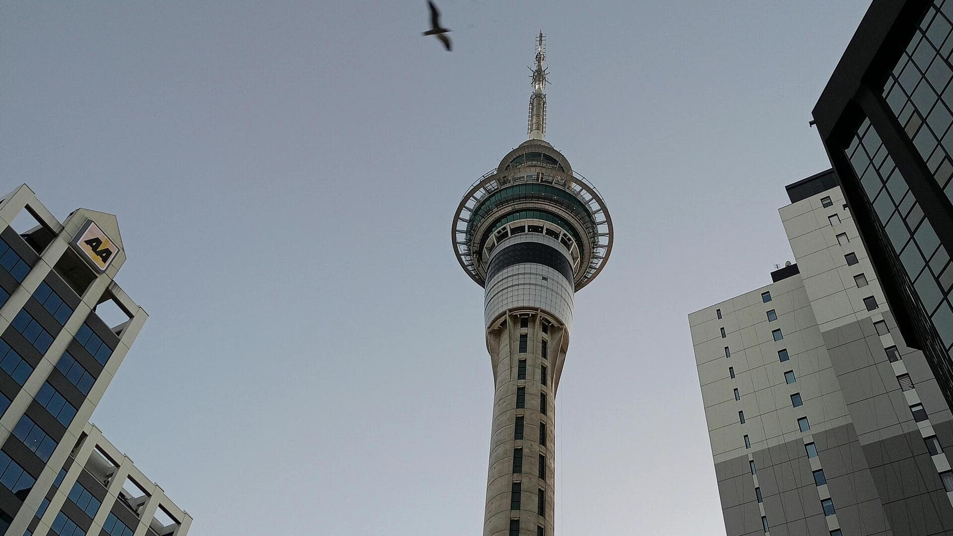 オークランドのユニークなスタジオ建築を探る