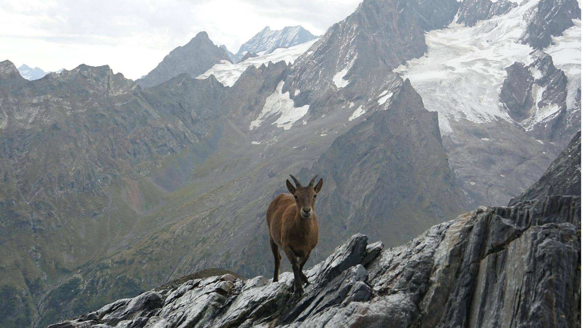 イタリアのグランパラディソ国立公園で静かなアルプスの宿5選