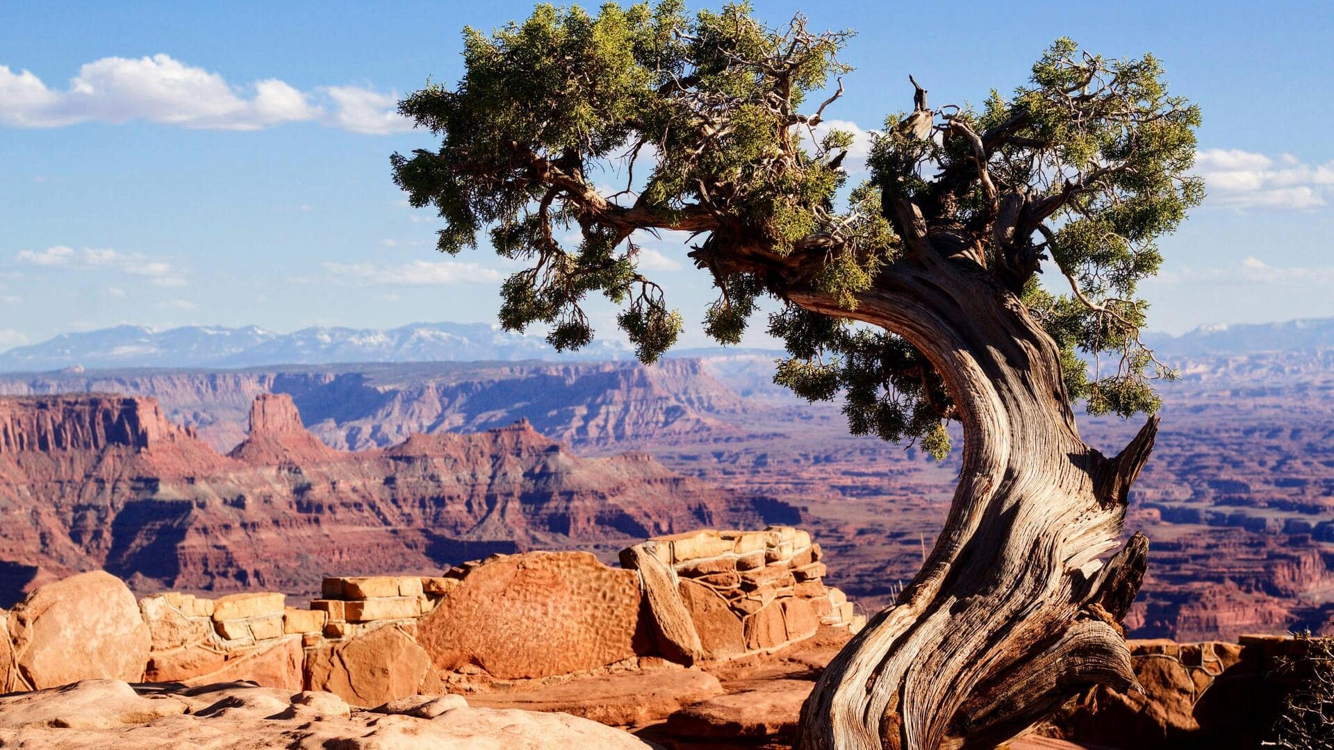 コロラド高原の静かな赤い岩山を探る