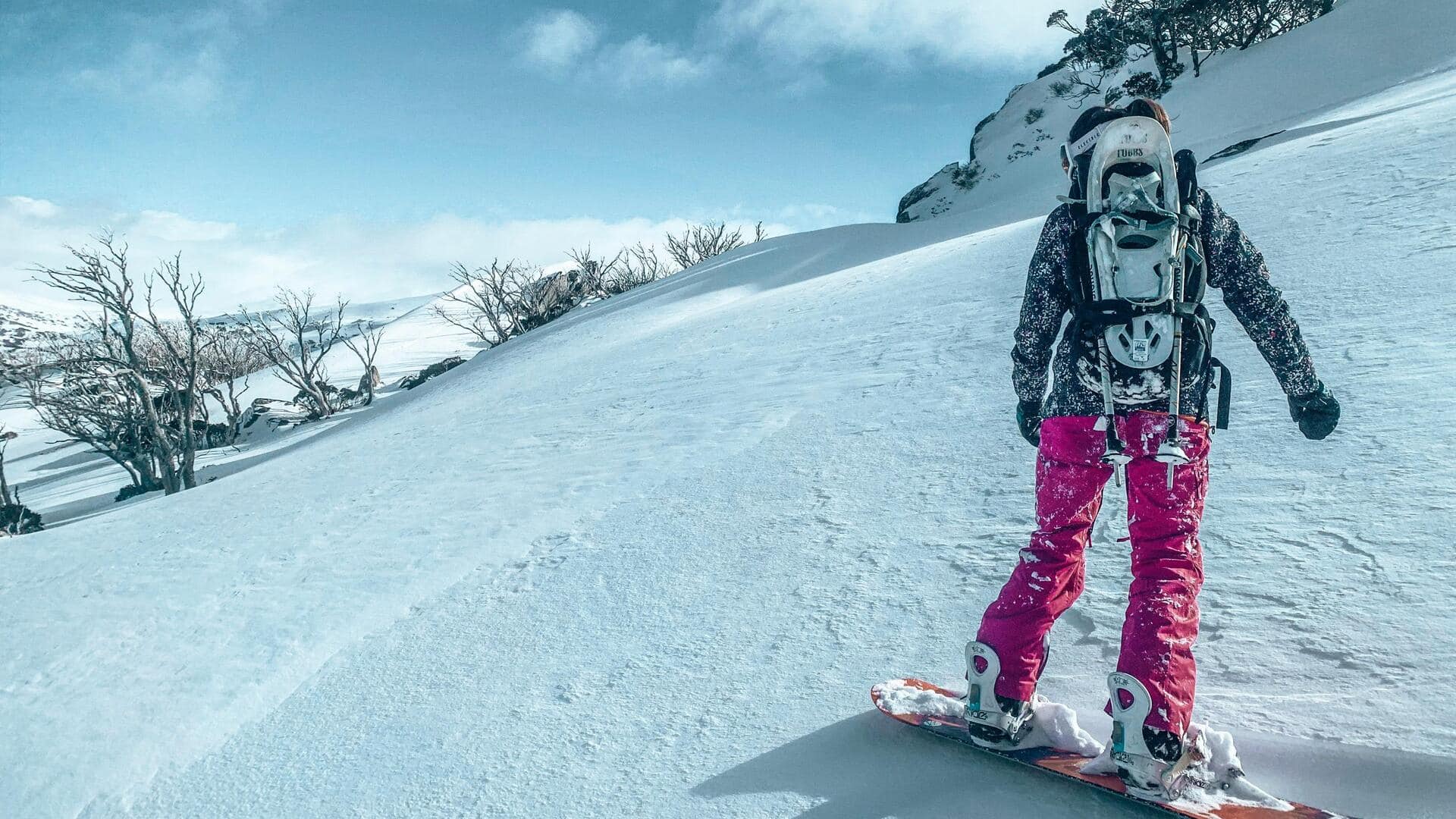 オーストラリアのスノーイーマウンテンズで自然を満喫