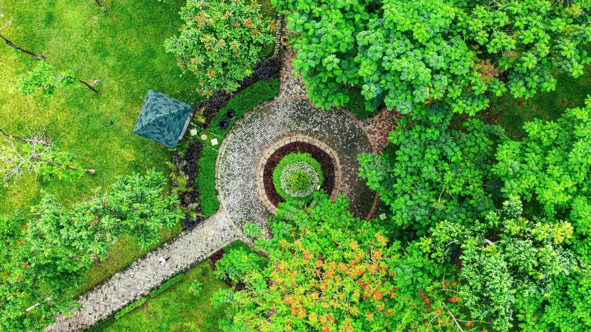 クライストチャーチのユニークな植物園 クライストチャーチのユニークな植物園