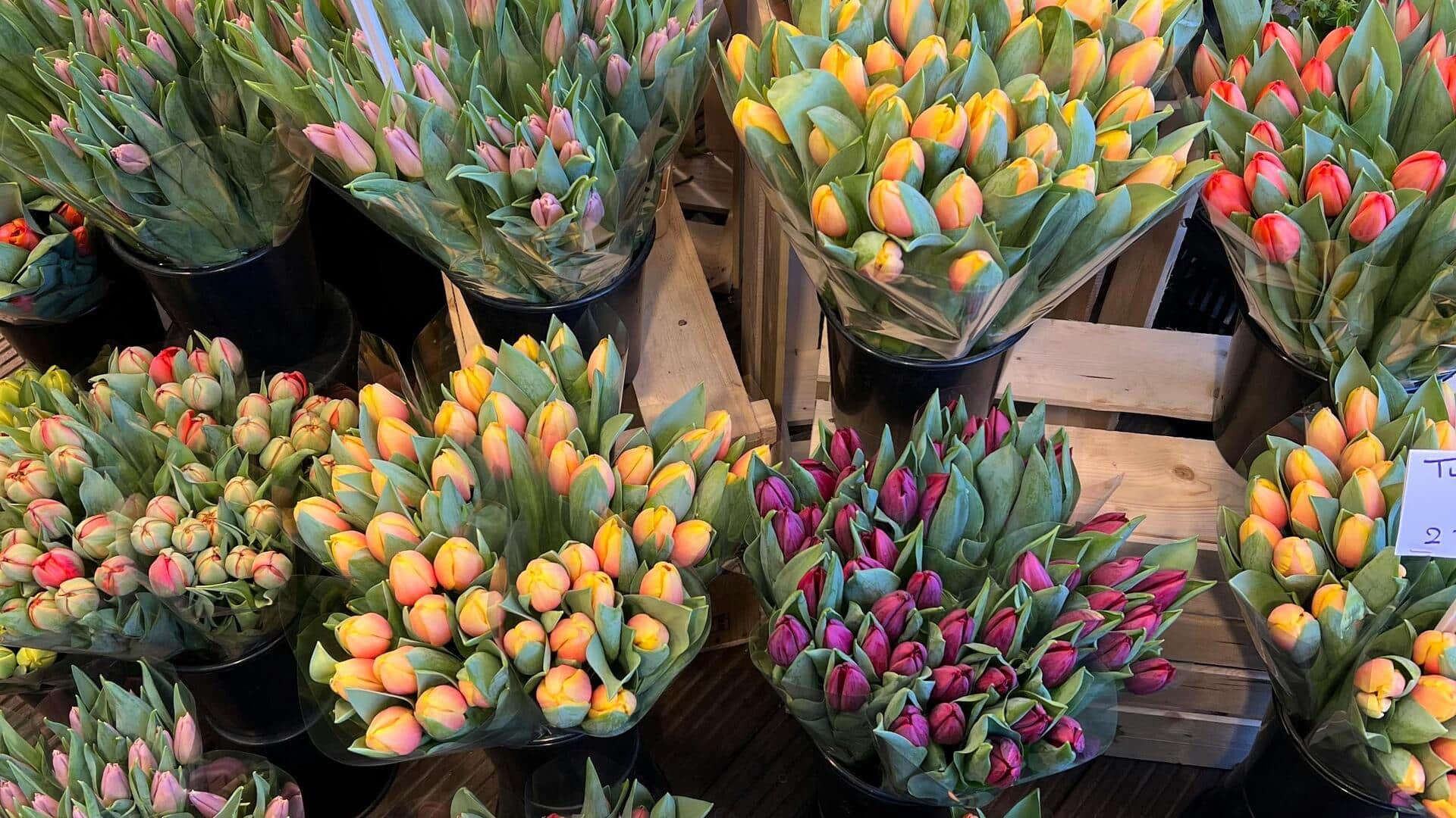 アムステルダムの花市場を探る アムステルダムの花市場を探る
