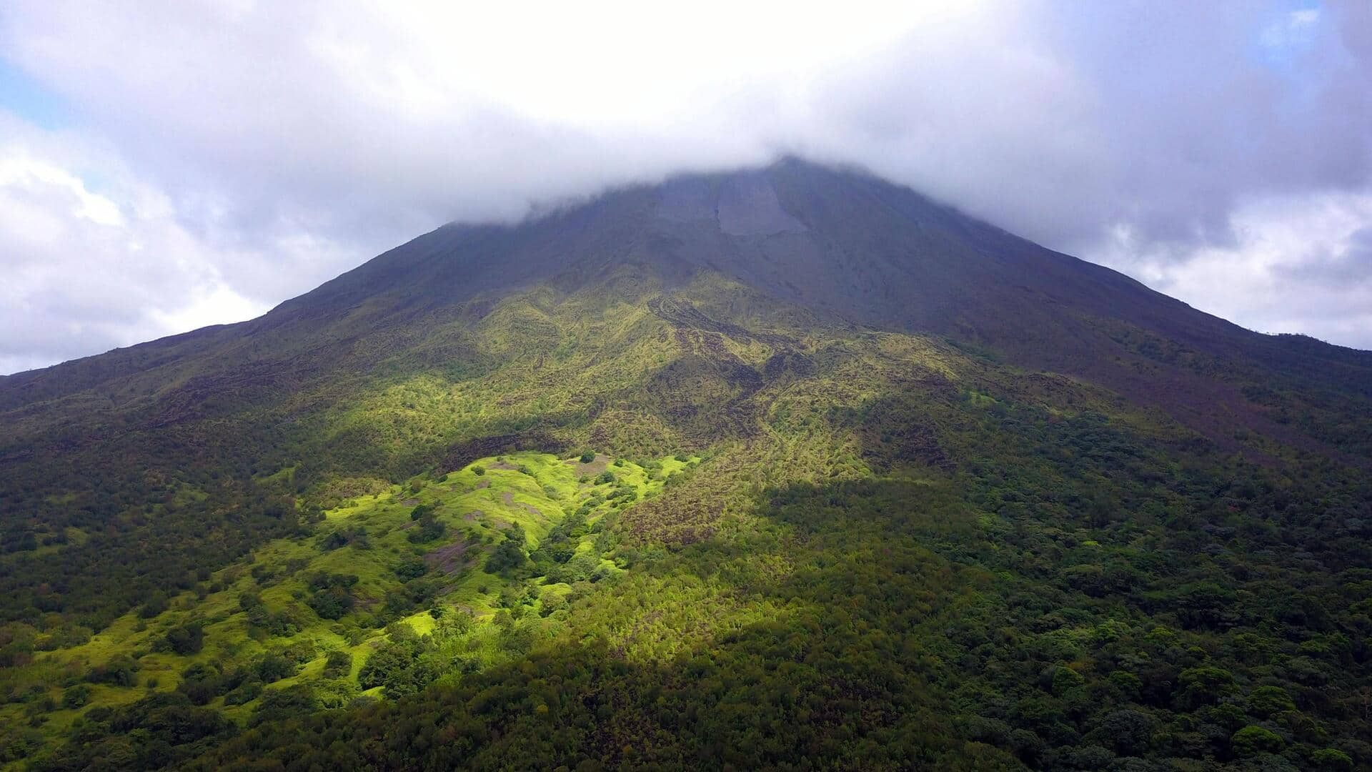 コスタリカのモンテベルデ雲霧林を探検しよう