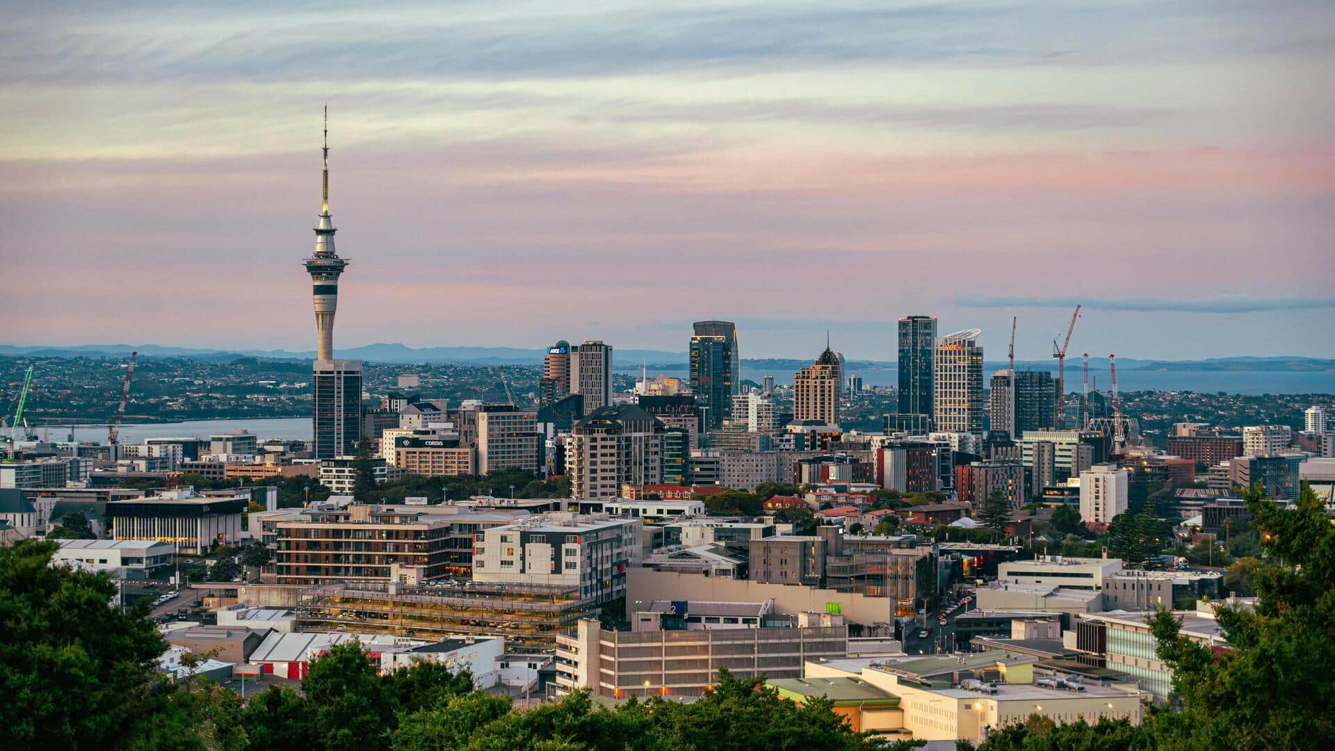 オークランドの週末オープンエア市場トップ