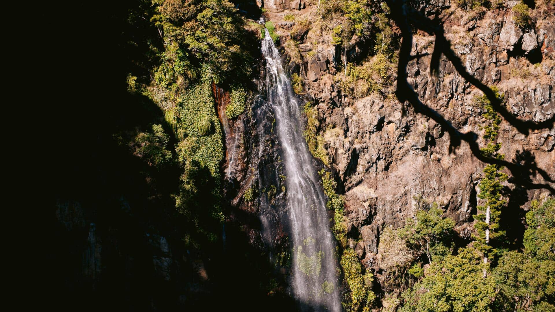 クイーンズランド州のラミントン国立公園で山岳の魅力を発見
