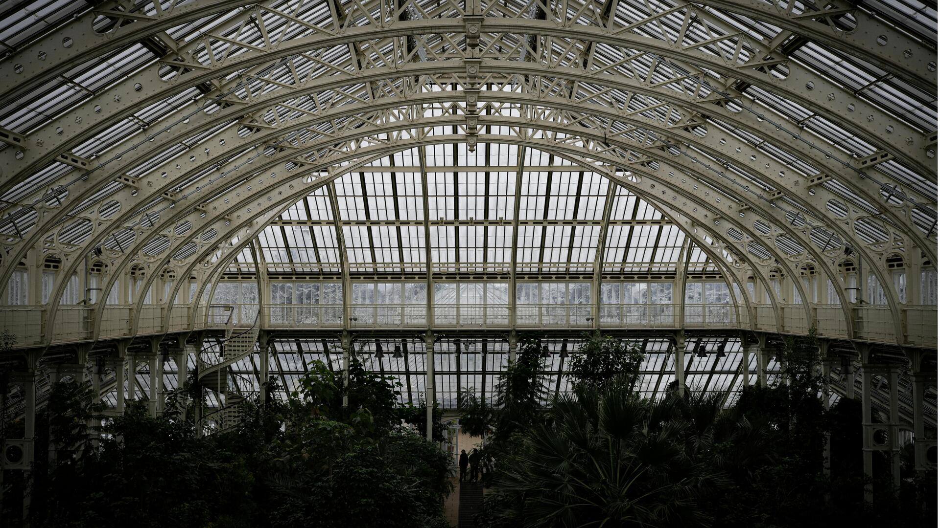 世界の植物園を探る:植物愛好家の楽園 世界の植物園を探る:植物愛好家の楽園