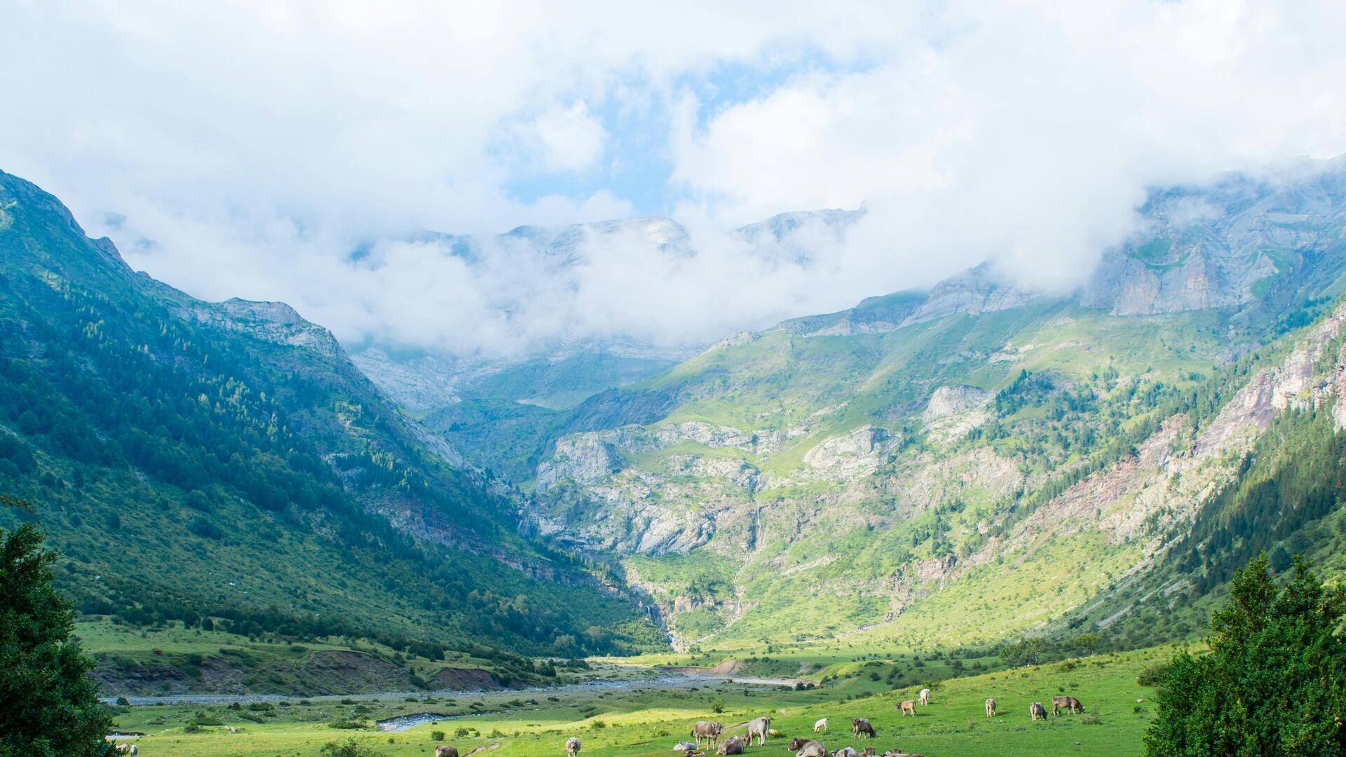 ヨーロッパの隠れた山岳地帯で静かな休息を
