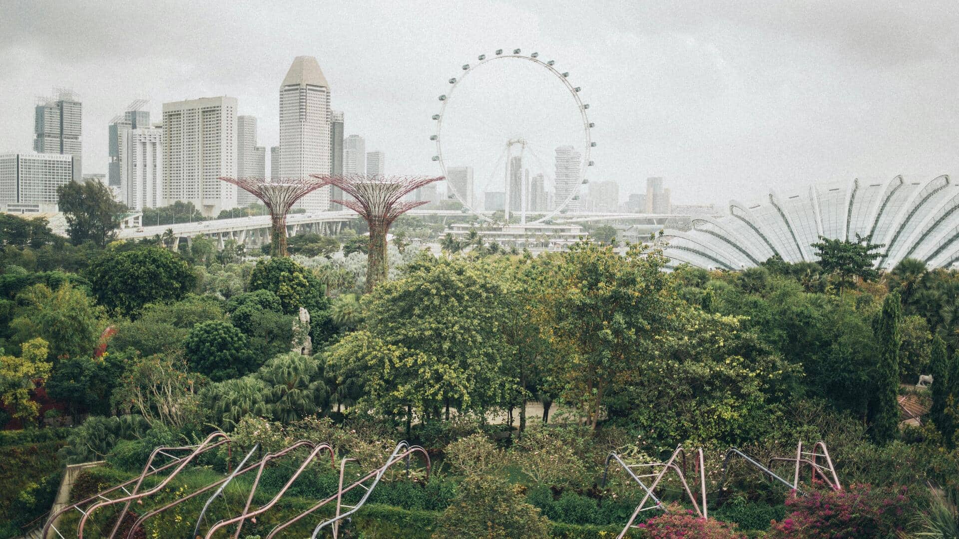 シンガポールの植物園を一年中楽しむ方法 シンガポールの植物園を一年中楽しむ方法