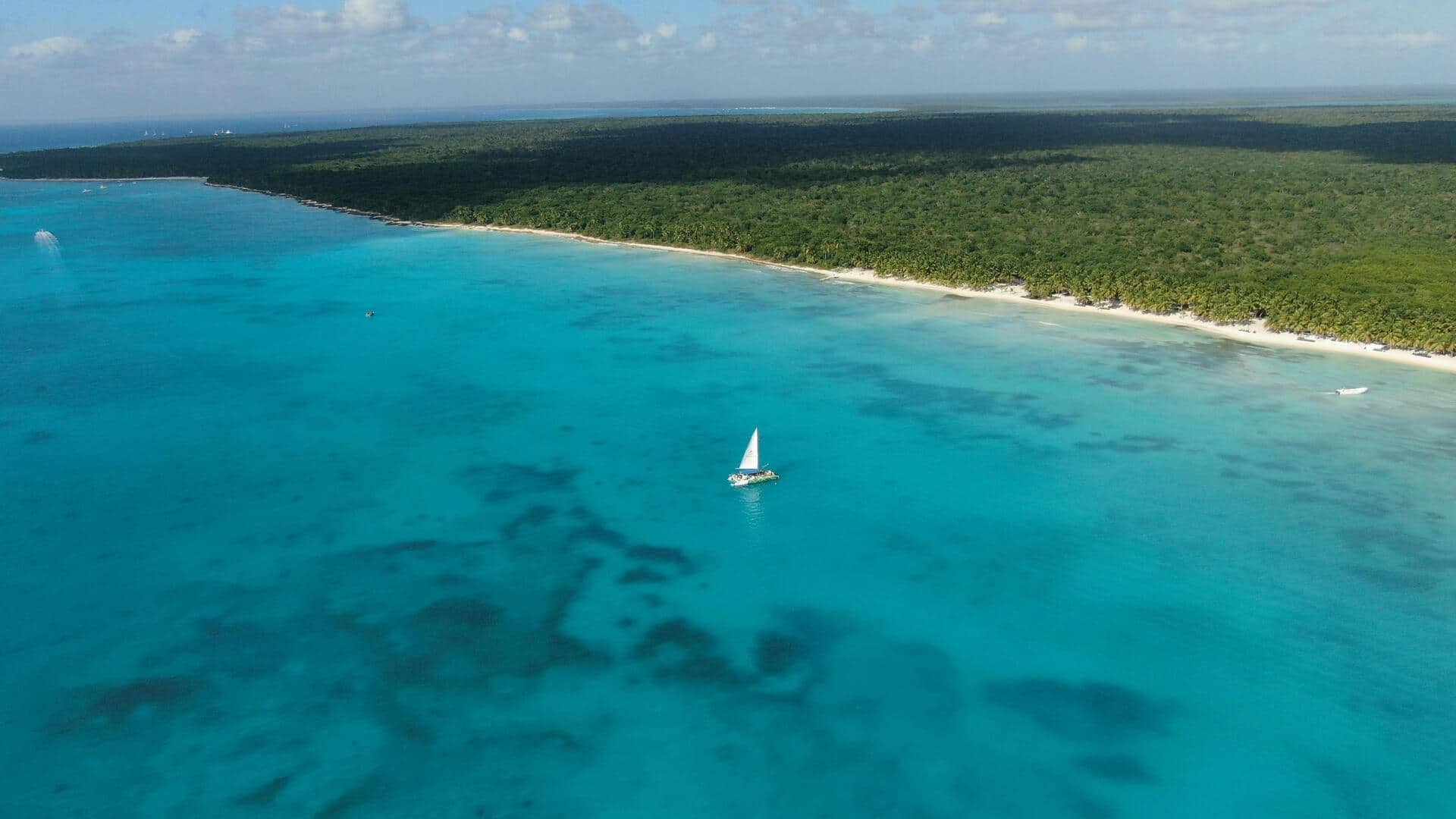 カリブ海のエコロッジで隠れた聖域を発見 カリブ海のエコロッジで隠れた聖域を発見