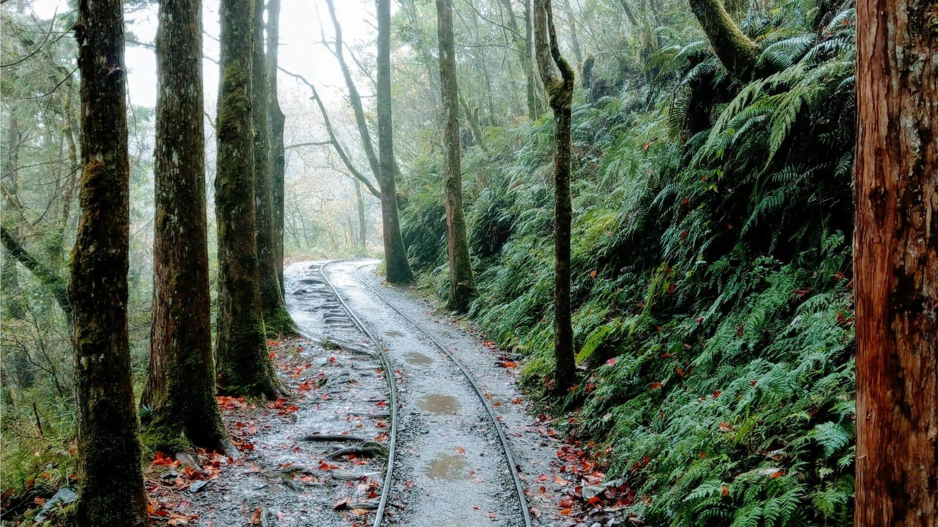 台湾の阿里山を探検：スイス風の魅力的な休暇地