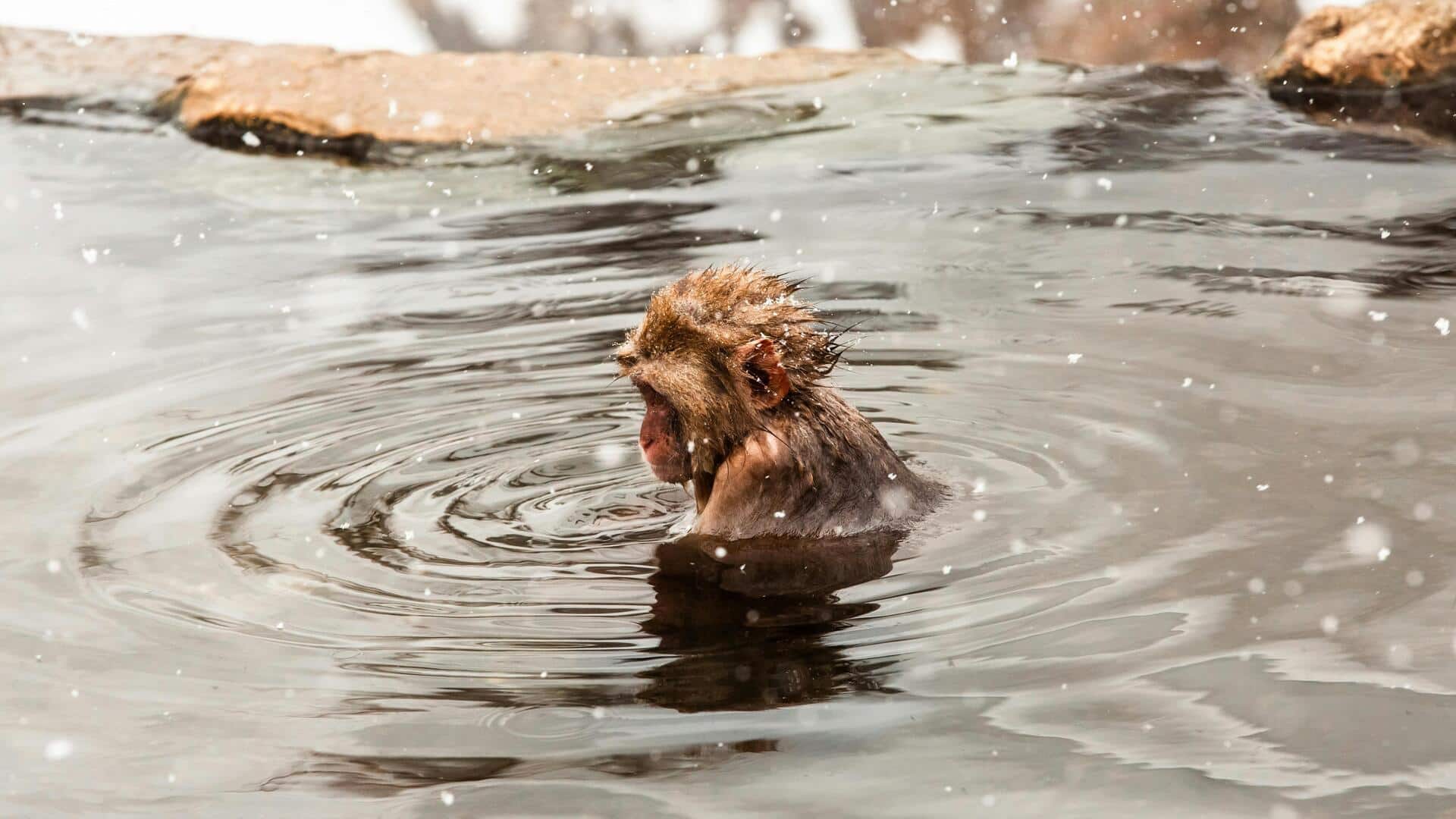 ポルトガルの自然温泉で心を癒す ポルトガルの自然温泉で心を癒す