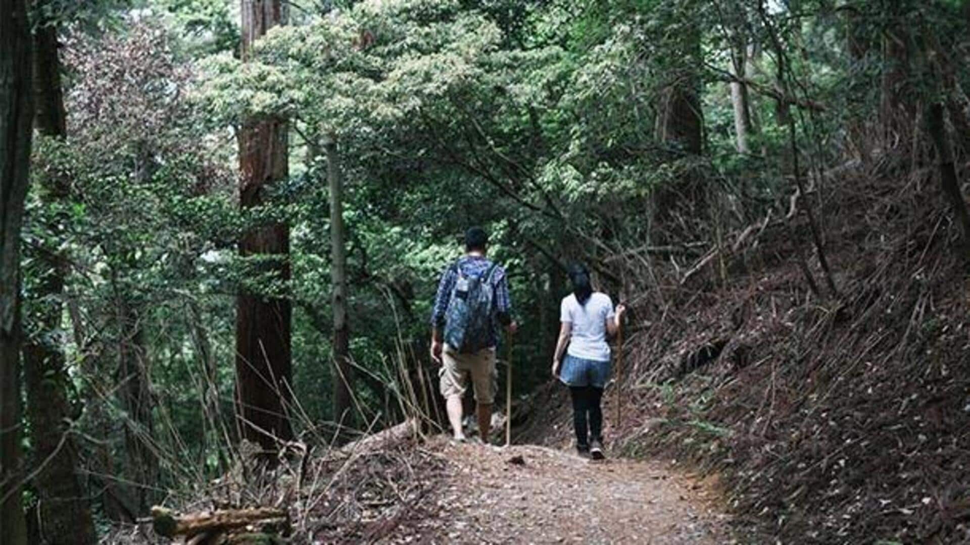 日本の森の山道を探る