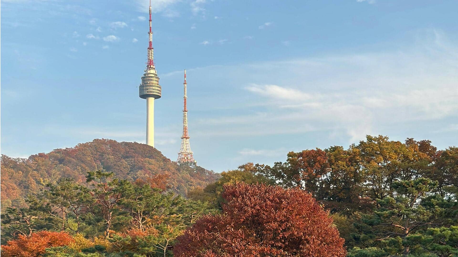 ソウルの都会で自然を楽しむスポット
